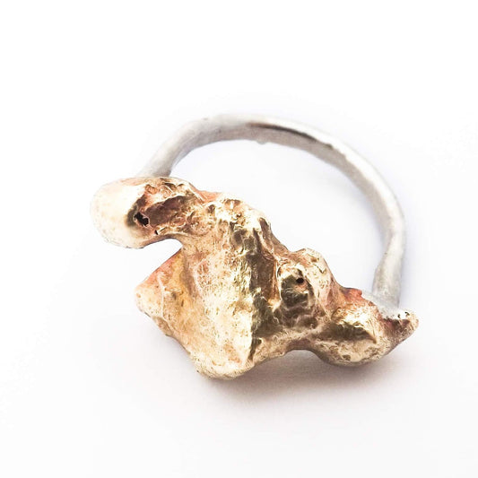 Silver Ring with Fused Brass