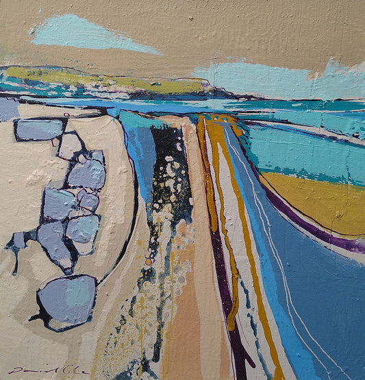 Daniel Cole - Stepper Point Cornwall